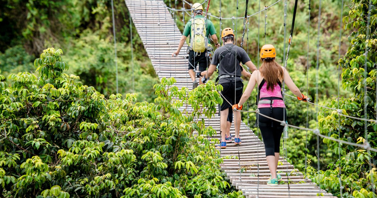 How to Get Your Group into Nature in Puerto Rico | Discover Puerto Rico