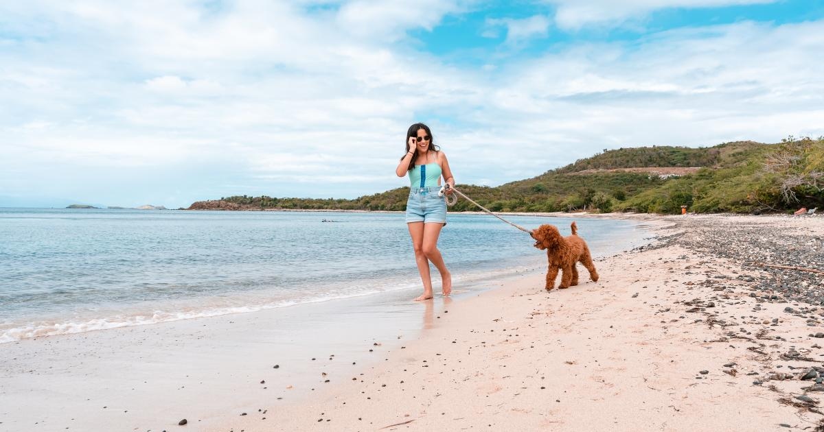 - python web app sqlite tutorial Images High Quality... Culebra Beaches | Zoni, Flamenco, Tamarindo & Resaca Beach