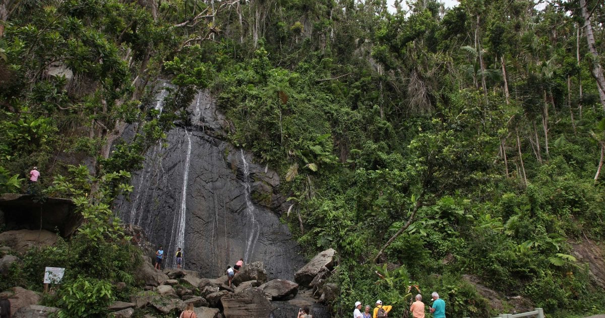 10 Best Trails and Hikes in Quindío