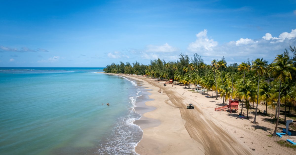 Jazz Brunch Discover Puerto Rico