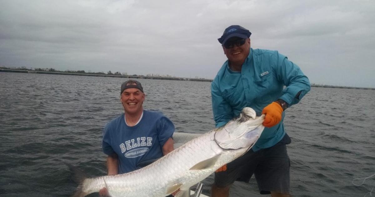 AC Fish Finder | Discover Puerto Rico
