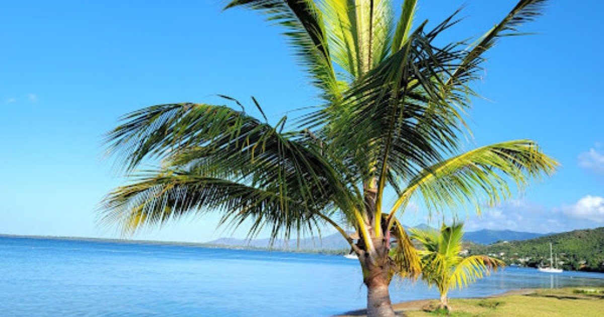 Playa Villa Pesquera Área de Acampar | Discover Puerto Rico