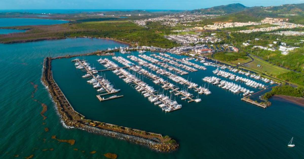 Marina Puerto del Rey Discover Puerto Rico