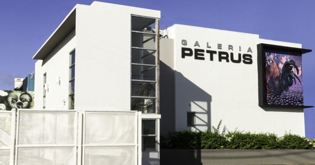Galería Petrus | Discover Puerto Rico