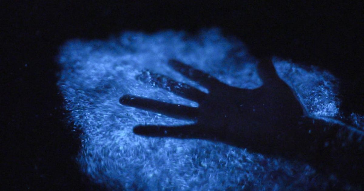 Mosquito Bay (Bioluminescent Bay), a attraction in vieques