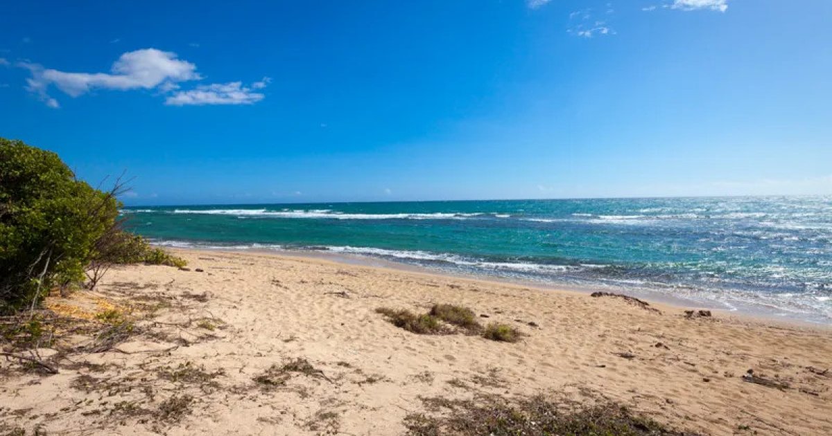 Tamarindo Puerto Rico