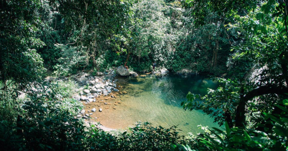 Charco El Mango Discover Puerto Rico