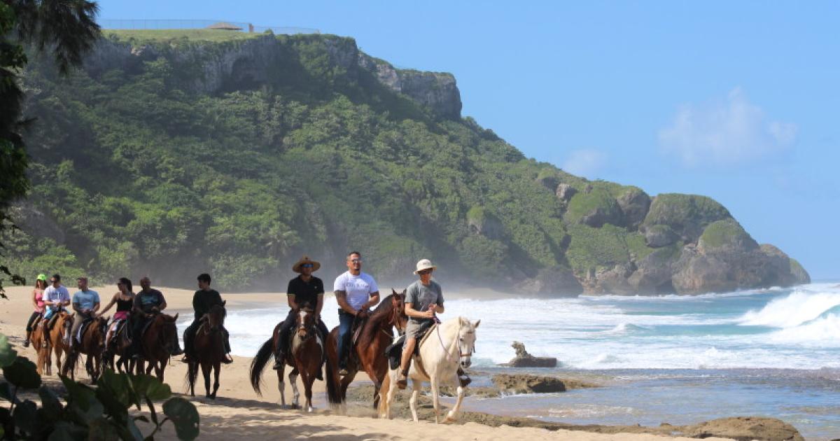 Tropical Trail Rides Discover Puerto Rico