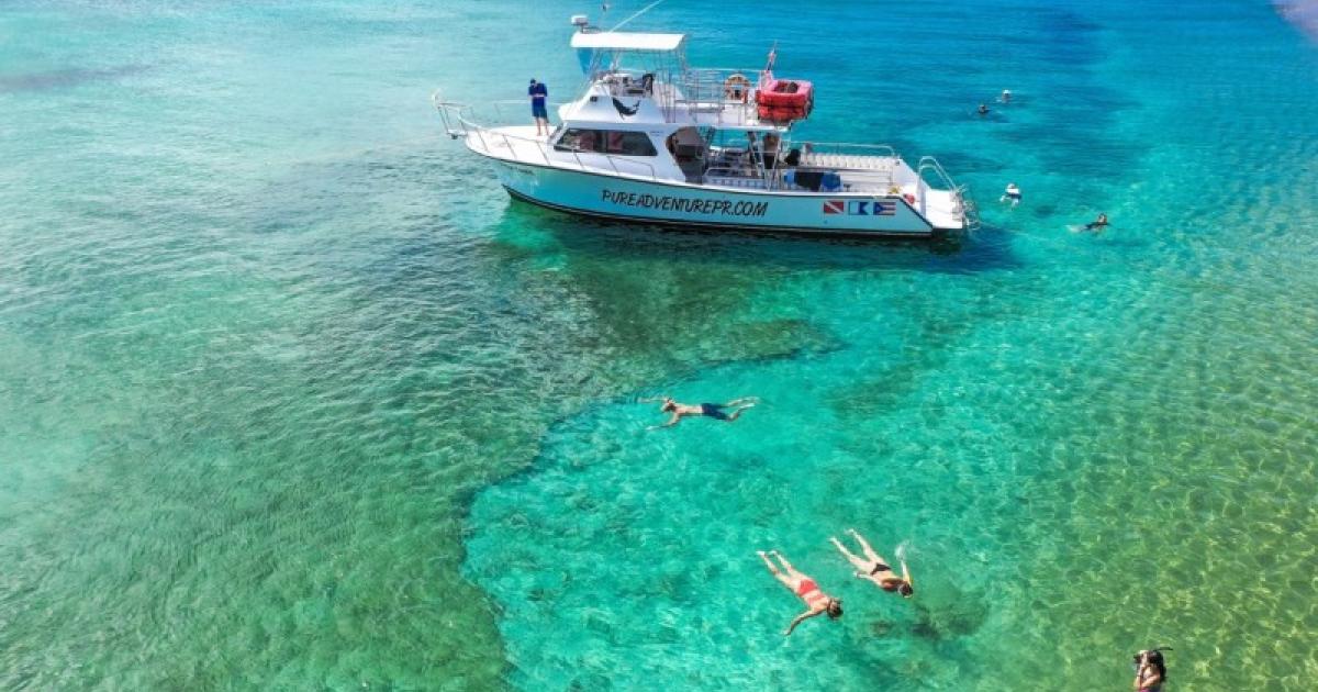 Pure Adventure Discover Puerto Rico