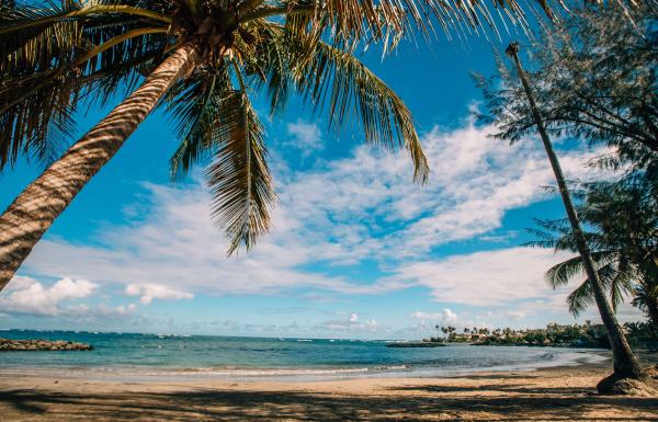 Palm trees frame a view of the ocean and beach at Balneario Manuel Morales