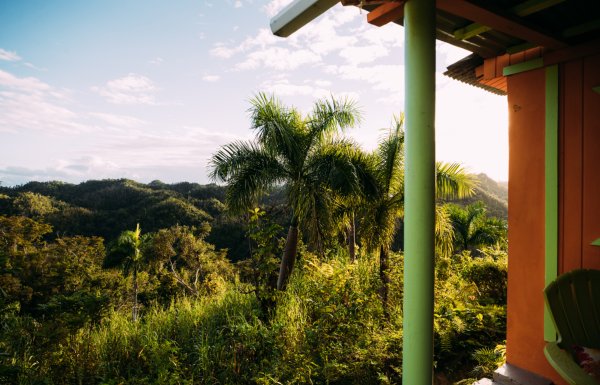 A panoramic view of lush foliage in Utuado.