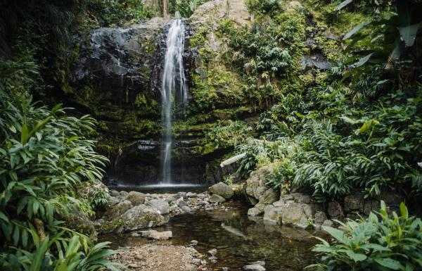 The Las Delicias waterfall in Ciales