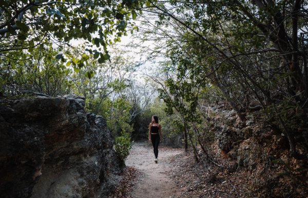 Hiking trail at Guánica Dry Forest.