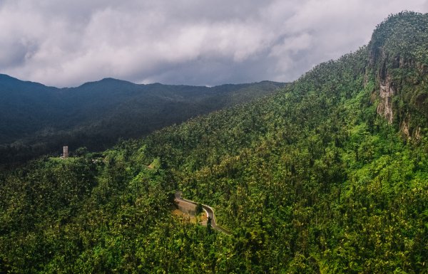 El Yunque Rainforest, Río Grande. 
