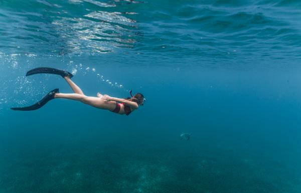 Snorkeling in Culebra