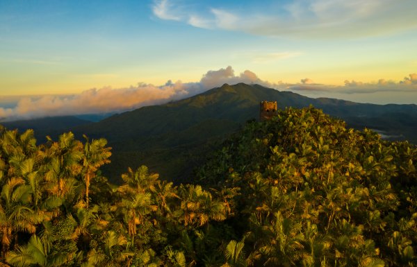 Aerial shot of El Yunque National Forest.
