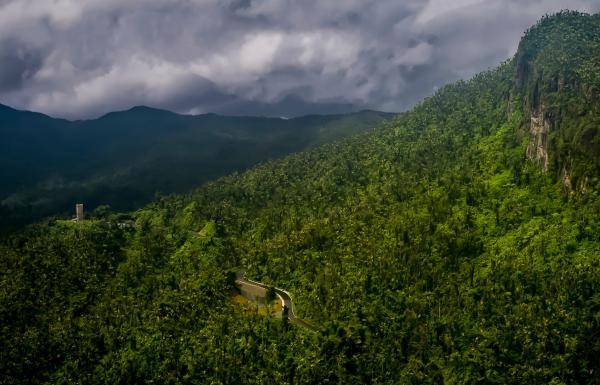 El Yunque is the only tropical rainforest in the U.S. National Forest Service.