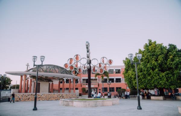 Clark barceloneta discount
