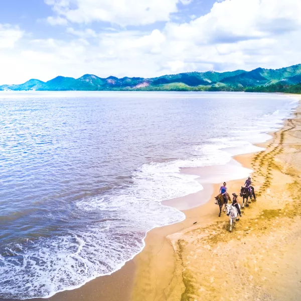 A group enjoys a peaceful horseback ride on the beach.