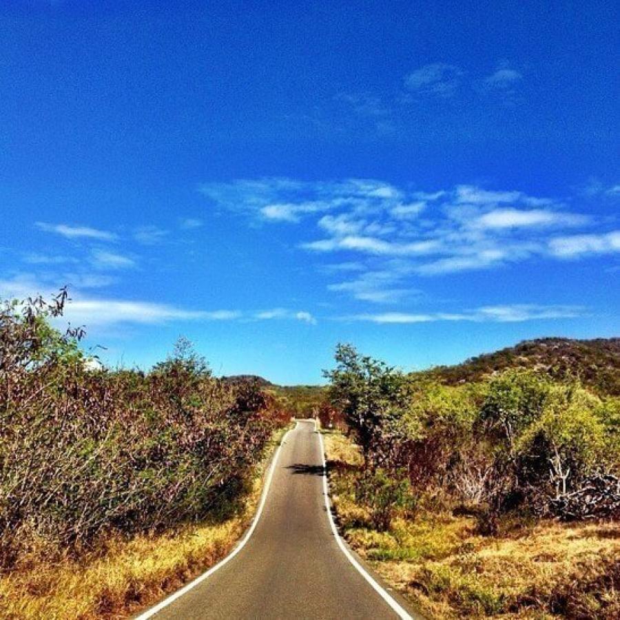 Road through Guánica State Forest & Biosphere Reserve, a dry forest.