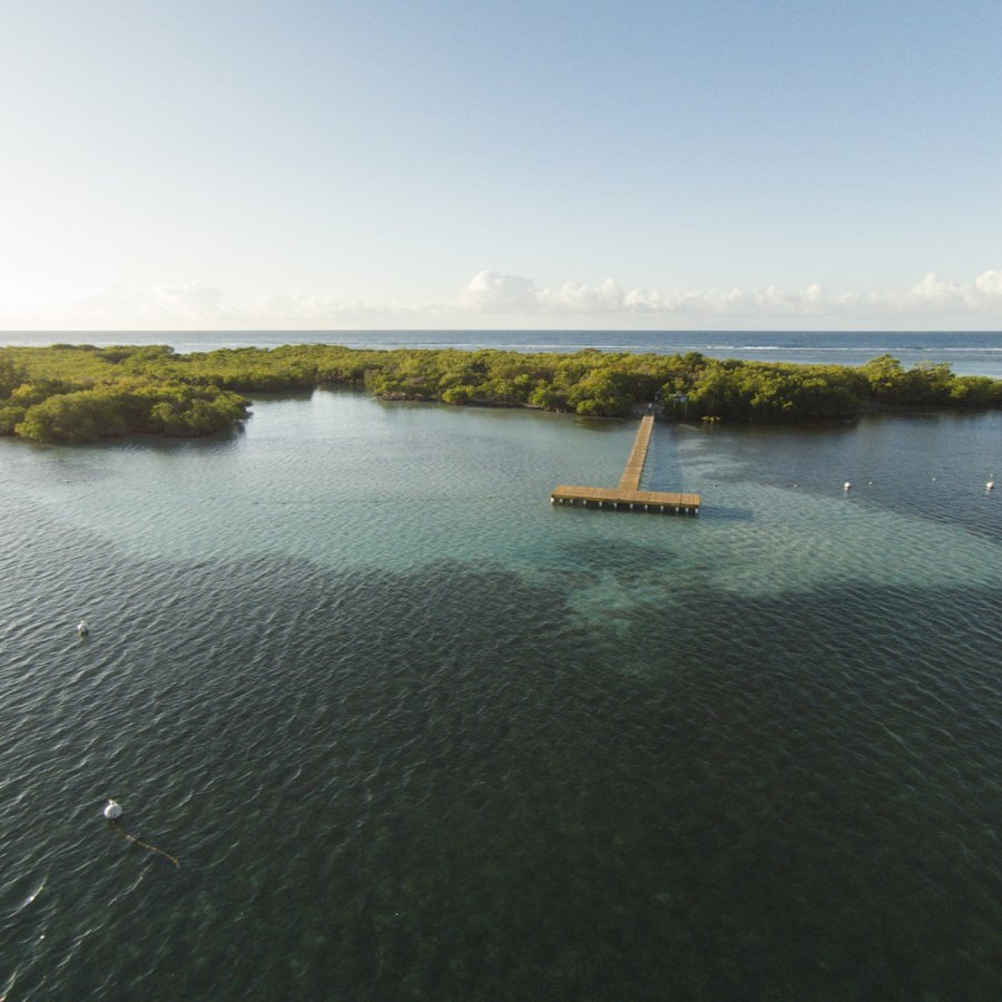 Vista aérea de la isla de manglares Cayo Aurora, también conocida como la Isla Gilligan.