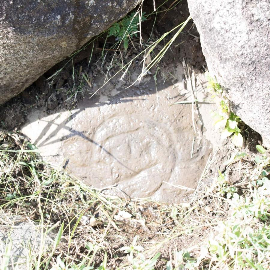 Un petroglifo en el Centro Ceremonial Indígena Tibes en Ponce.