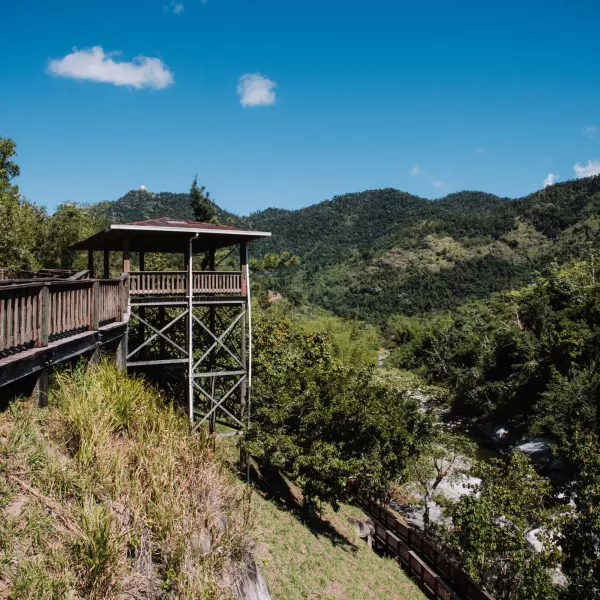 Scenic view of Piedra Escrita in Jayuya, an iconic Taíno heritage site.