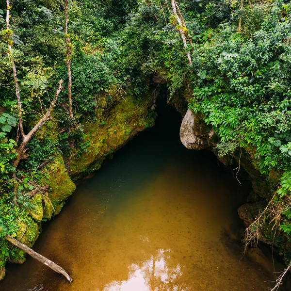 Scenic view of a cave along the Tanamá River in Utuado, Puerto Rico.