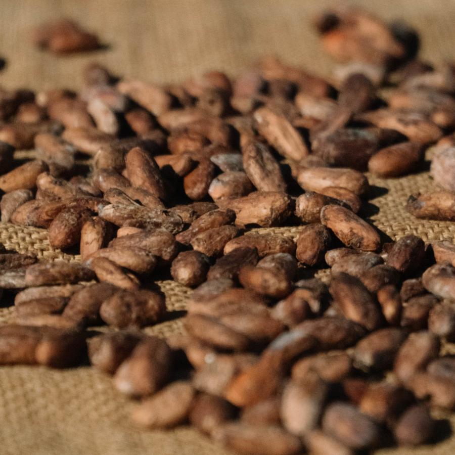Freshly roasted coffee beans from Puerto Rico