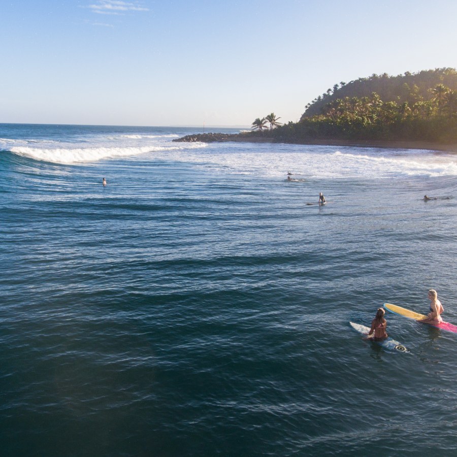 Surfers in Domes Beach