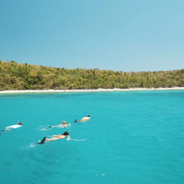 Snorkelers in clear blue water on the island of Culebra.