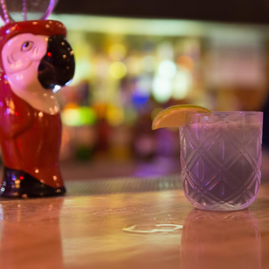 A craft cocktail sits on the bar at Gallo Negro.