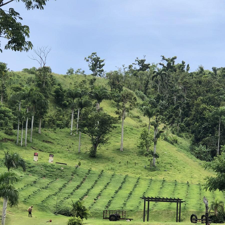 Vista panorámica de Hacienda Muñoz, una hacienda de café en funcionamiento en San Lorenzo.