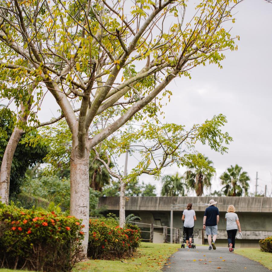 Walkers on a path at Paseo Lineal Bayamon.