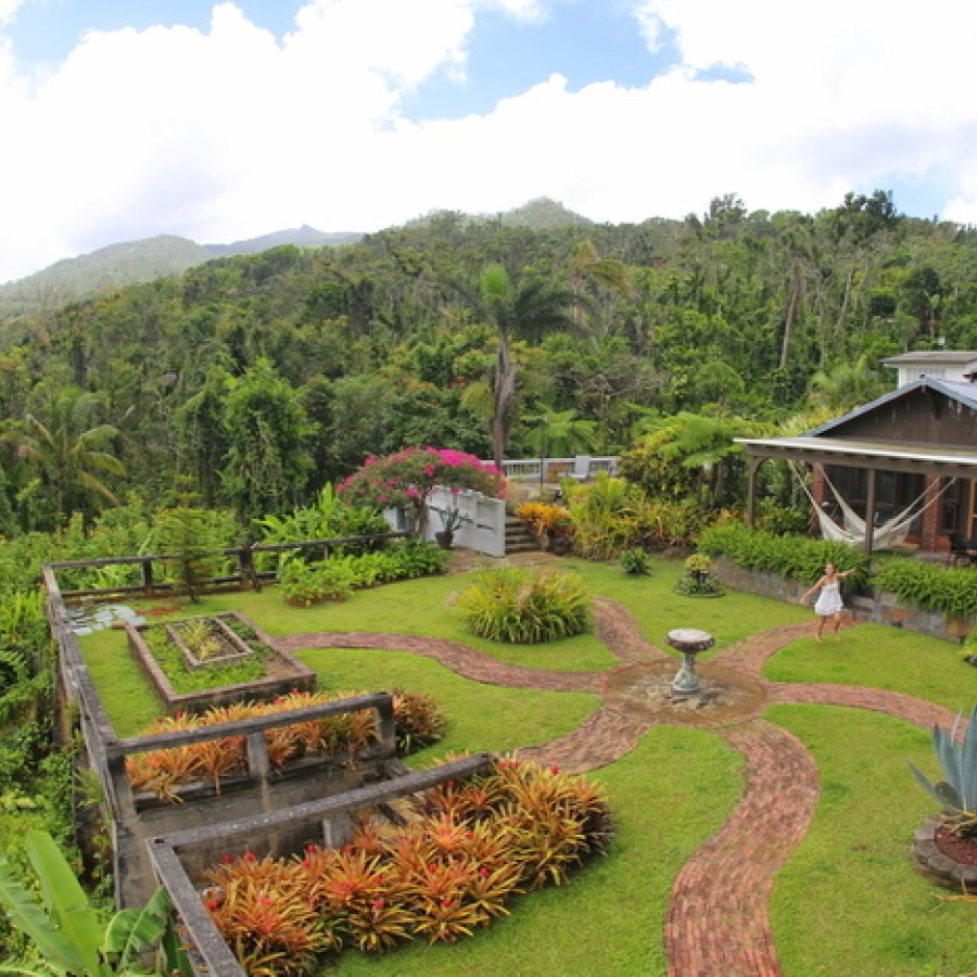 Aerial view of the Rainforest Inn.
