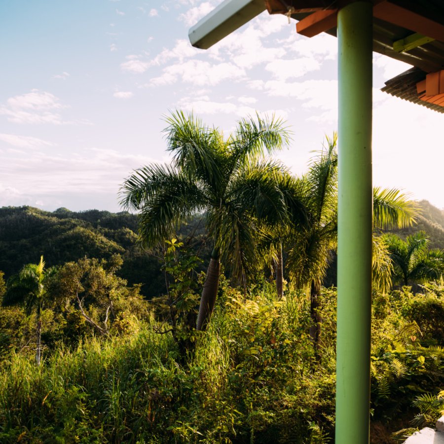 Una vista panorámica del exuberante follaje en Utuado.