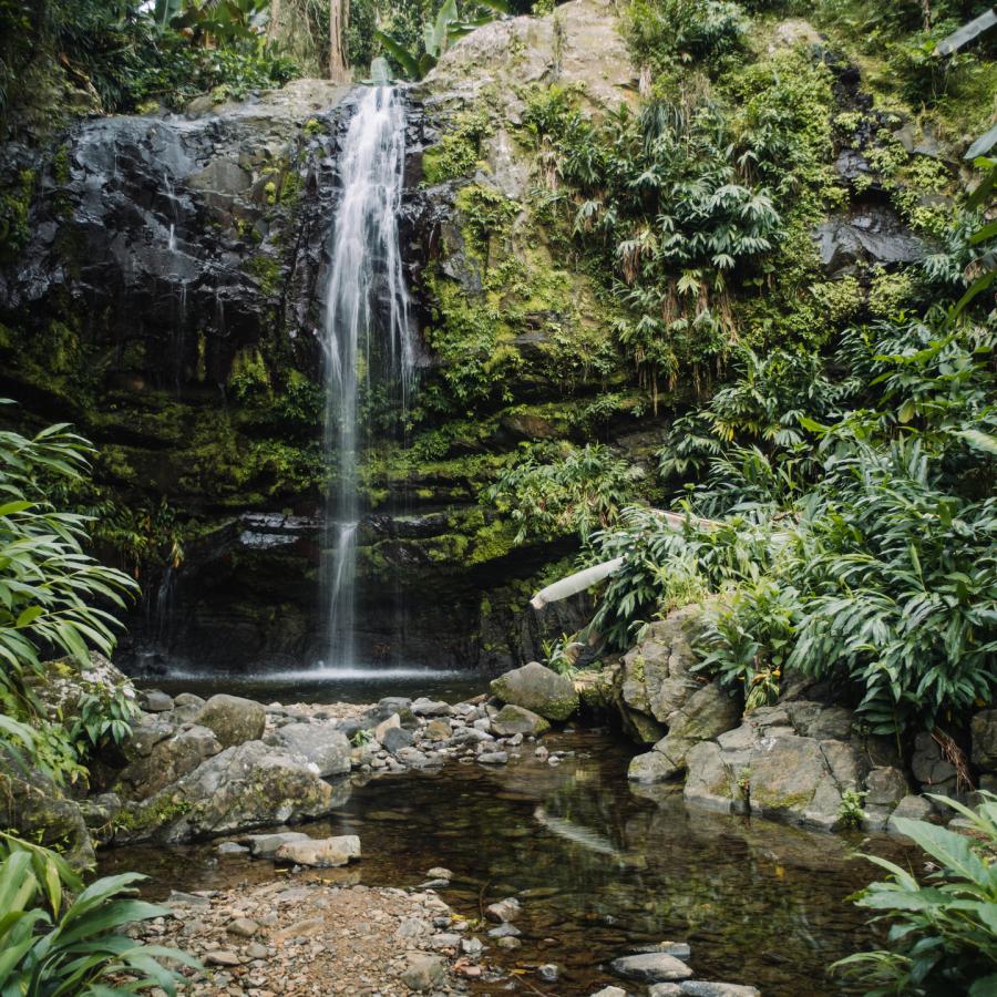 The Las Delicias waterfall in Ciales