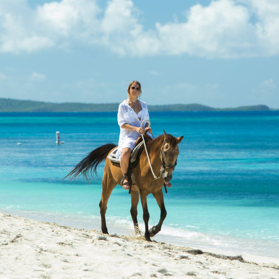 A woman rides a handsome brown horse along a white sand beach with bright blue water in the background