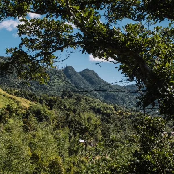 A scenic view of mountain peaks in Jayuya