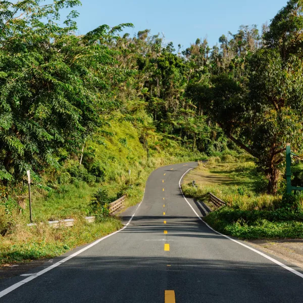 The journey to Charco Azul is as stunning as the destination. 