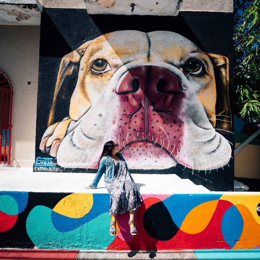 Santurce es Ley mural