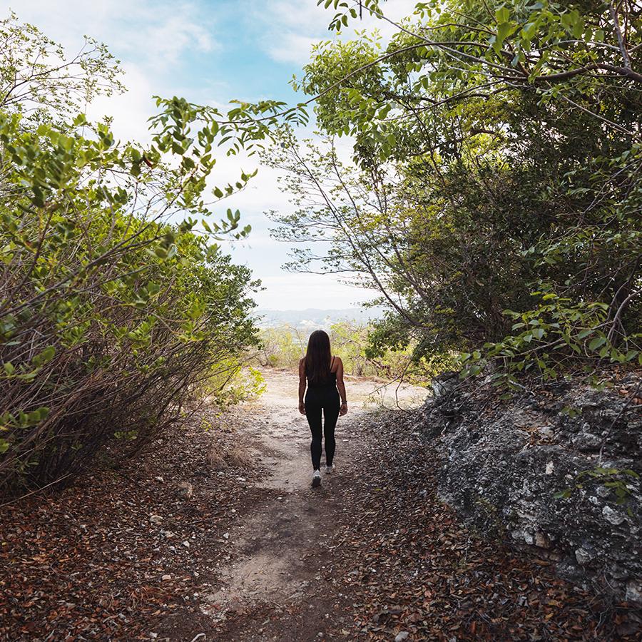 A woman walks one of the Guanica's Dry Forest trials. 