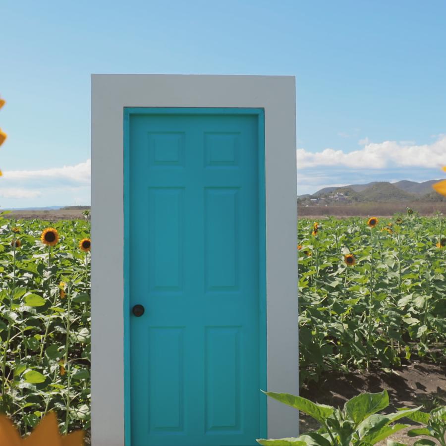 Door in a sunflower field