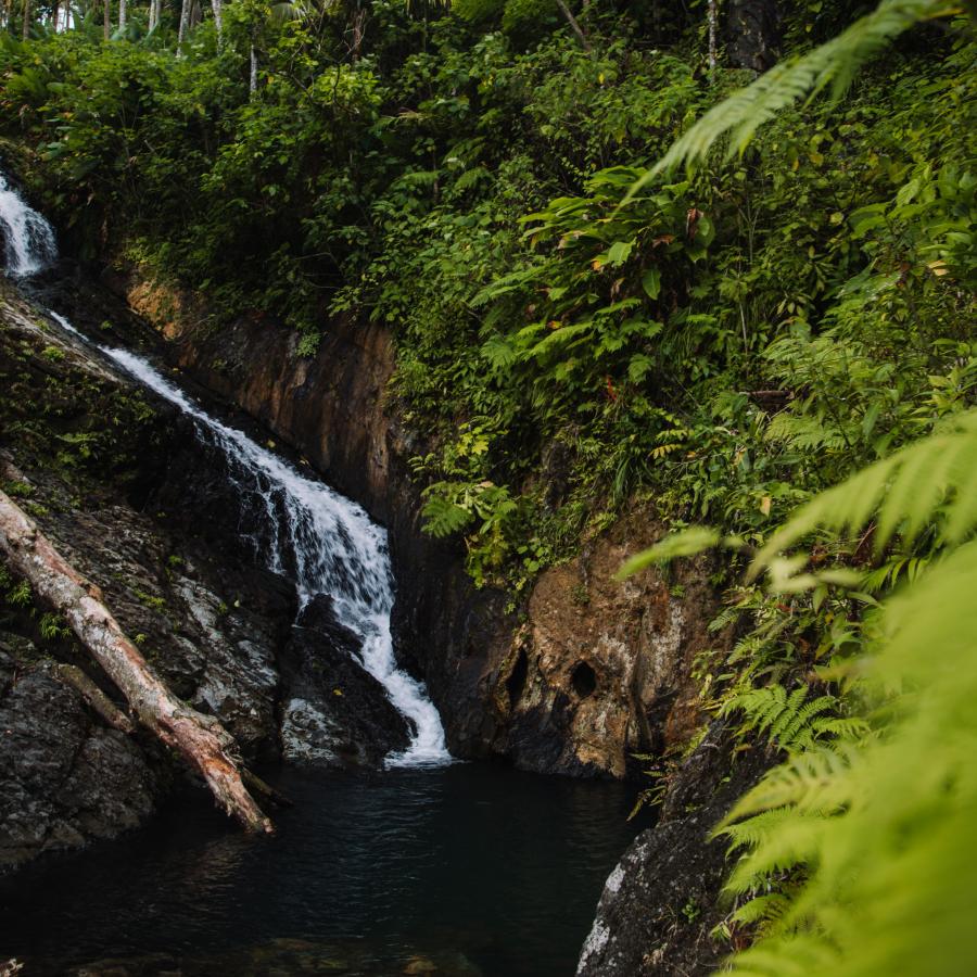 view of a waterfall at El Yunque
