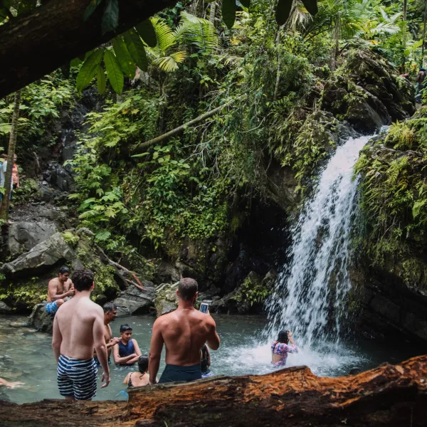 overview of the waterfall at El Yunque