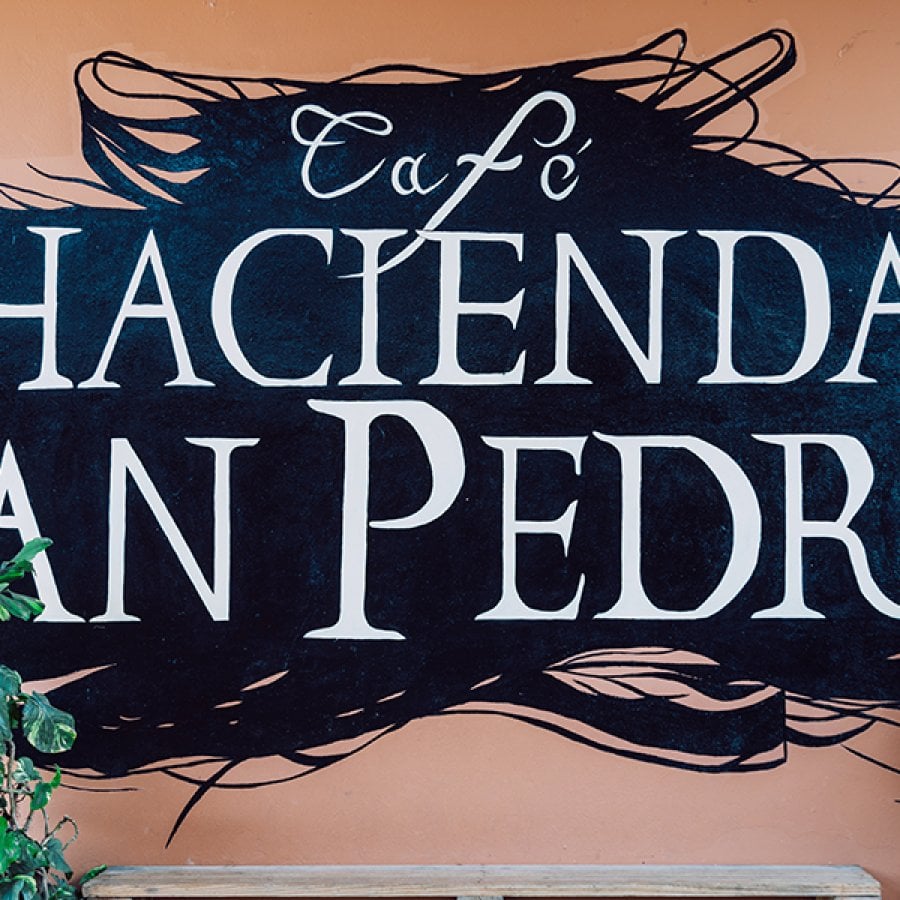 Hacienda San Pedro