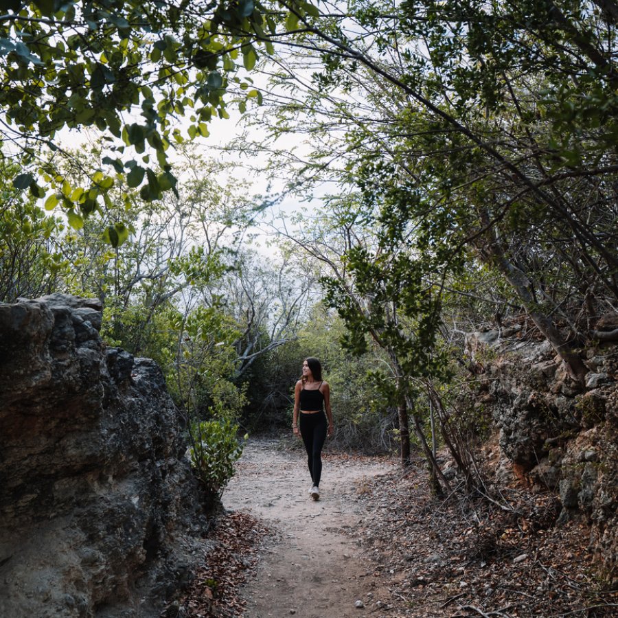 Hiking trail at Guánica Dry Forest.