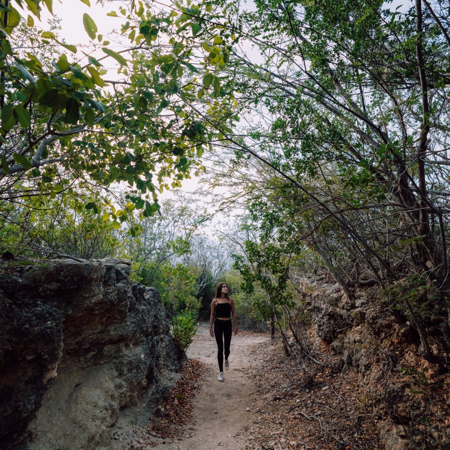 A woman walks through a hiking trail in Guánica's Dry Forest.