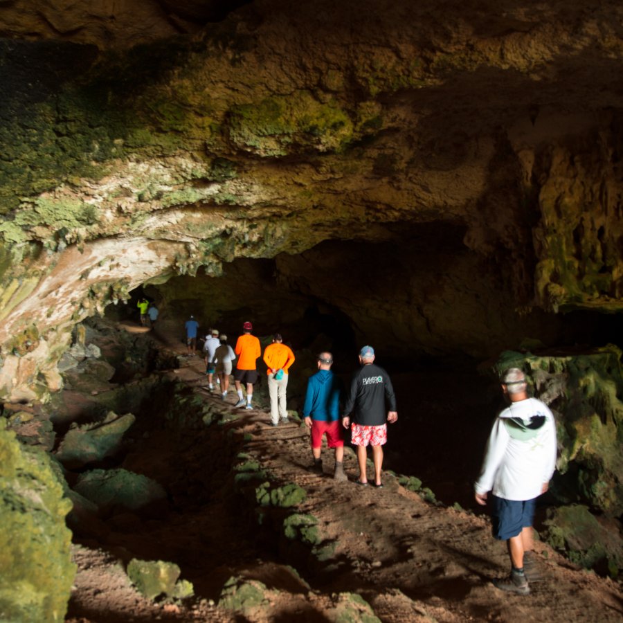 Adventures in Caves in Mona Island