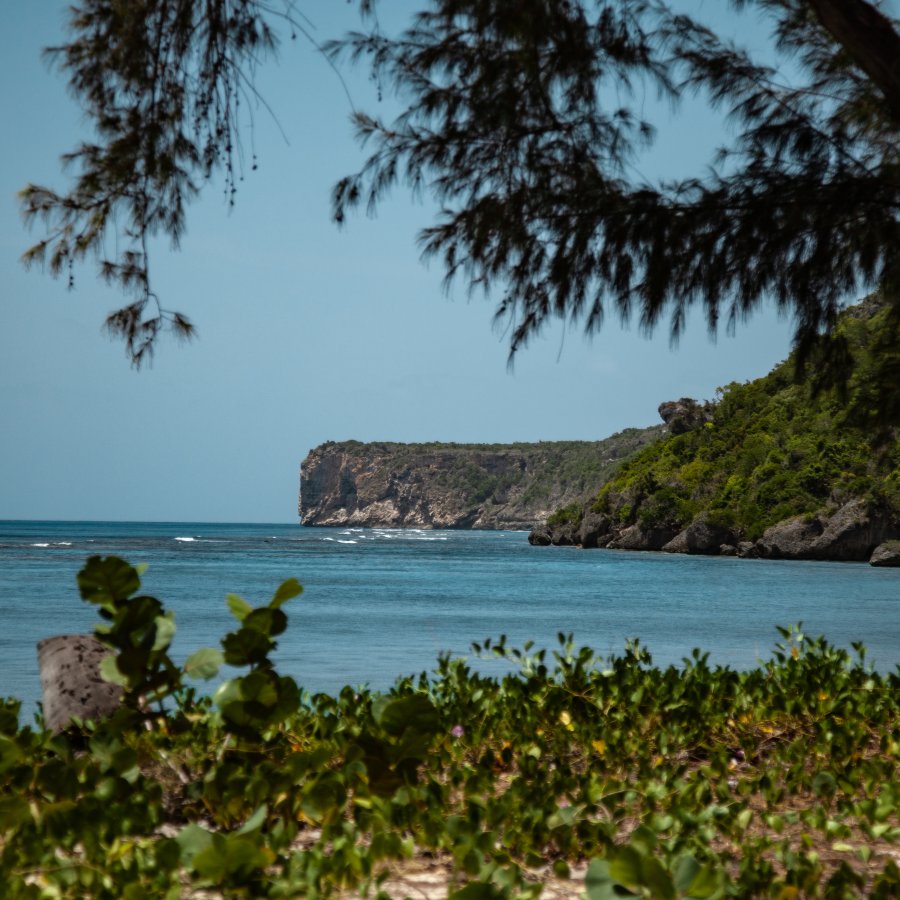 A beach at Mona Island